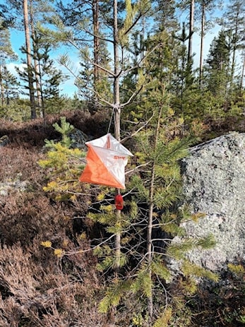 Treningsløp Kølabånn
